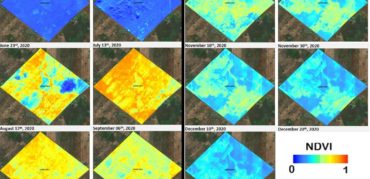 AG_Precision_NDVI